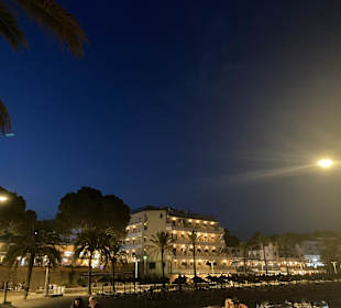 Strand Paguera/Peguera