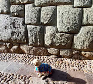 San Blas-The Artists District