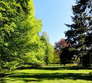 Spaziergang durch Muhles Park