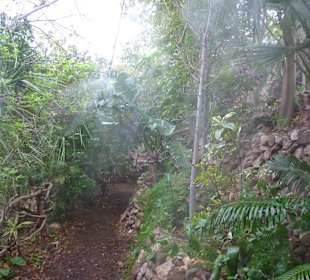 Botanical Garden Eilat