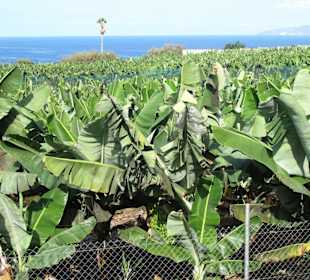 Auf dem Weg zum Strand Bollullo