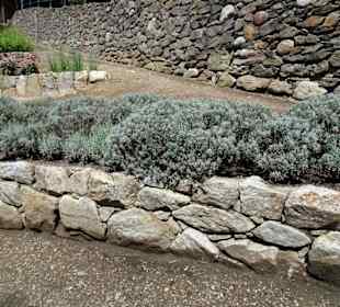 Im Kräutergarten des Tappeinerweges