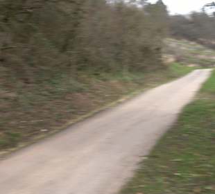 Unterjesinger Wengertwegle