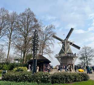Keukenhof Holland