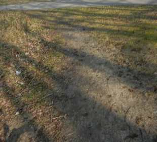 Wunderschöne Boberger Niederung