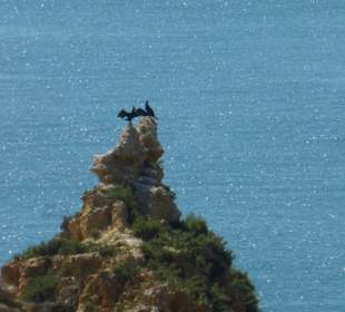 Steilküste bei der Praia de Marinha