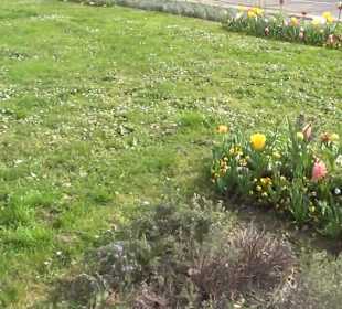 Bürgerpark Offenburg