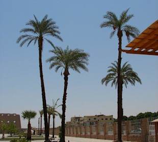 Świątynia wśród czterech palm