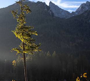 Hintersee