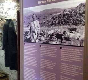 Teide Nationalpark in Las Canadas del Teide