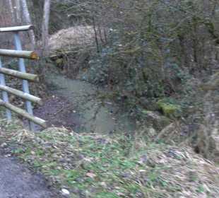 Wanderung rund um den Ochsenweiher