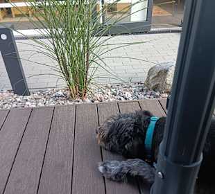 Stadtrundgang Boltenhagen