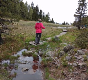 Wandern Turracher Höhe
