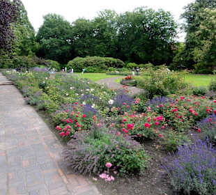 Rundgang durch den Schlossgarten Oldenburg