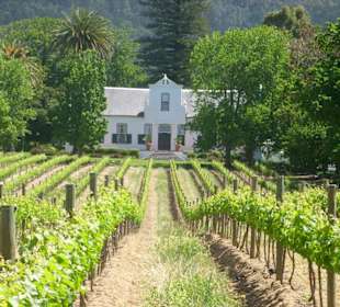 Weingut Buitenverwachting