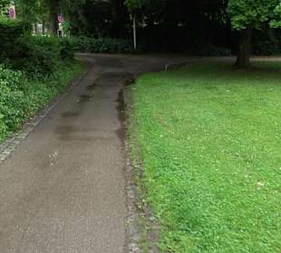 Baumlehrpfad Glacis Park