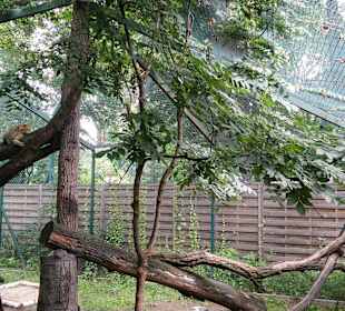 Zoo Wrocław