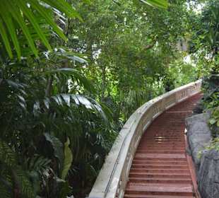 Golden Mount und Wat Saket
