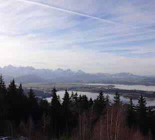 Ausblick