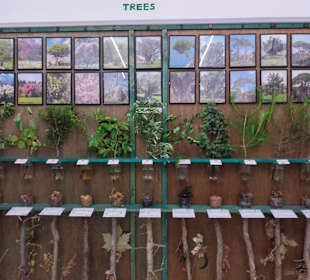 Rodos Nature - Folklore Museum