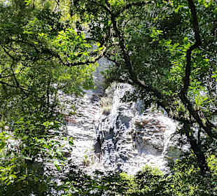 Nowa Zelandia