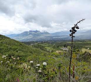 Blick in die Landschaft