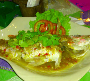 Red Snapper mit Lemon Sauce