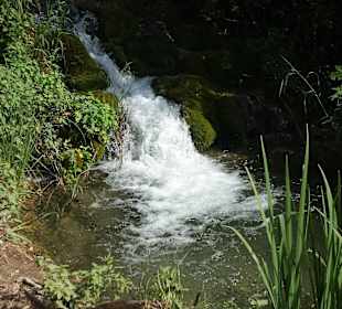 Einer der vielen kleinen 'Wasserfaelle' im Park