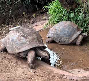 Bei der farbigen Erde