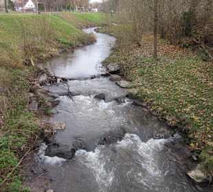 Partie an der Queich