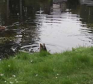 Kurpark Bad Brambach