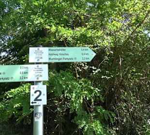 Früchtetrauf - Wurmlinger Kapellenwegle