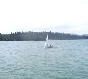 Forggensee Rundfahrt