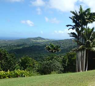 Phantastischer Blick auf die Ostküste von Barbados