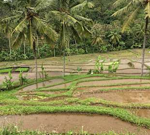 Guide Johanna Nusa Dua