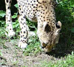 Rundgang im Tierpark