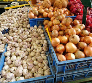 Rundgang durch die Markthalle