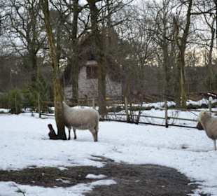 Freilichtmuseum Skansen