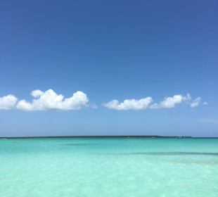 So weit das Auge reicht 