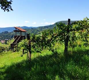Weinbergwarte