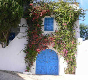Sidi-bou-saïd porte de maison