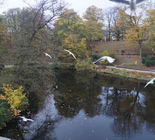 Parkanlage Planten un Blomen