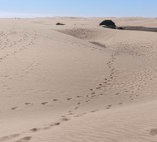 Dünen von Maspalomas