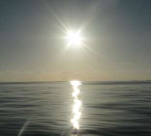 Sonne über dem Ozean