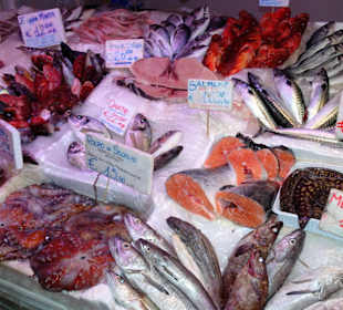 Rundgang zwischen den Auslagen des Mercato Civico