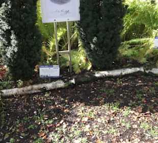 Kneipp`scher Sinnesgarten