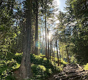 Wandern Ramsau am Dachstein
