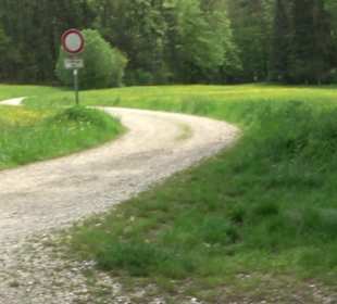 Wandertour Feuchtgebiet Schönbuch