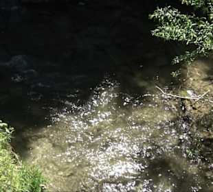 Gönninger Wasserfall