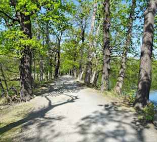 Rundgang durch das Naturschutzgebiet Riddagshausen